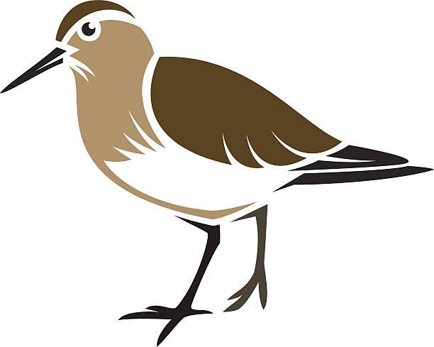 Stylized bird - Baird's Sandpiper